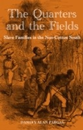 Quarters and the Fields