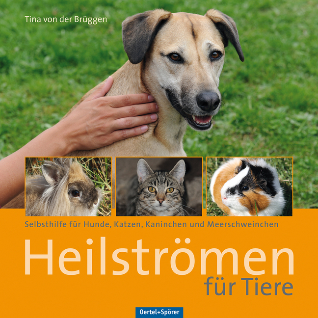 Heilströmen für Tiere main product photo