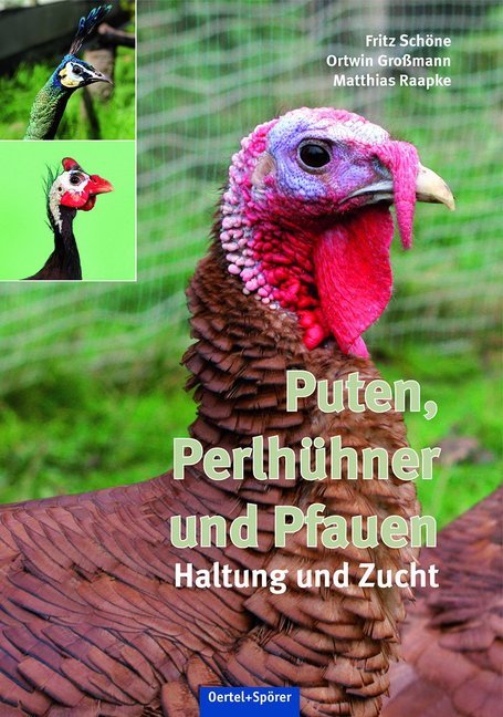 Puten, Perlhühner und Pfauen main product photo