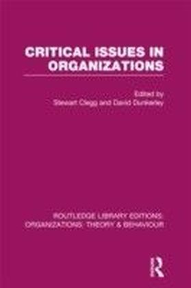 Critical Issues in Organizations (RLE: Organizations) main product photo