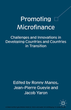 Promoting Microfinance