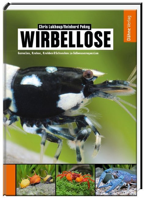 Wirbellose main product photo