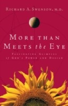 More Than Meets the Eye main product photo