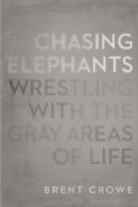Chasing Elephants main product photo