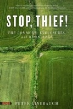 Stop, Thief! main product photo