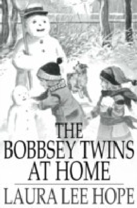 Bobbsey Twins at Home