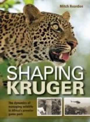 Shaping Kruger main product photo