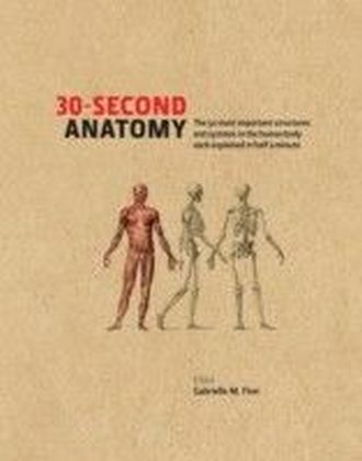 30-Second Anatomy