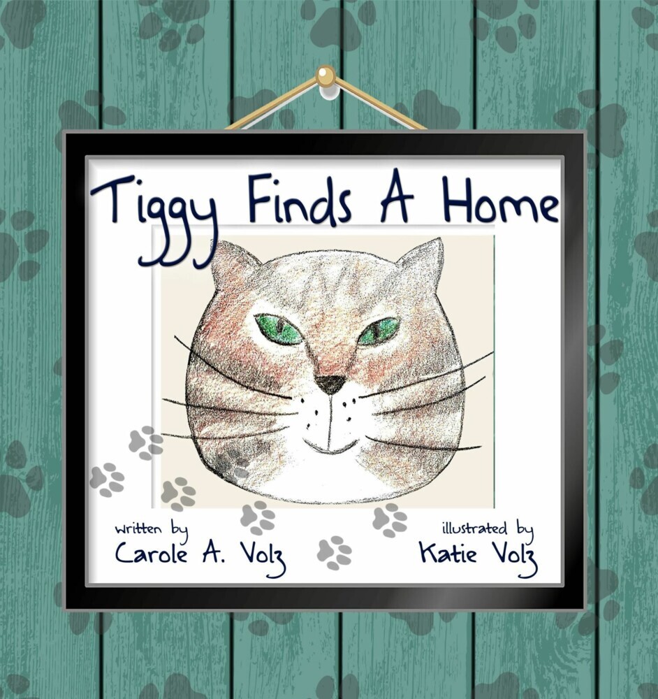 Tiggy Finds A Home main product photo