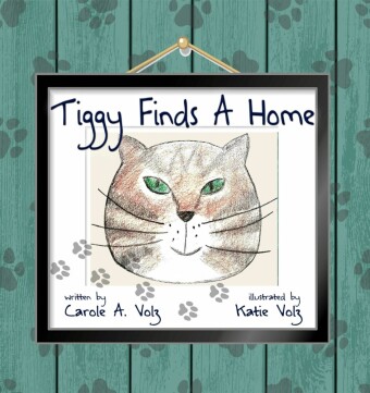Tiggy Finds A Home