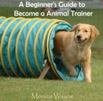 A Beginner's Guide to Become a Animal Trainer main product photo