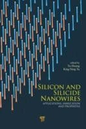 Silicon and Silicide Nanowires