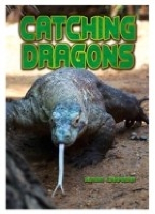 Catching Dragons