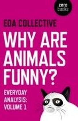 Why are Animals Funny?