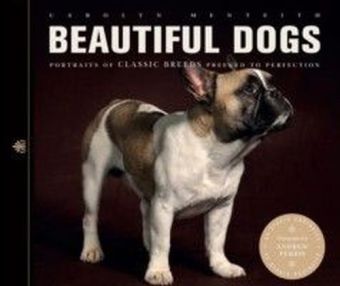Beautiful Dogs
