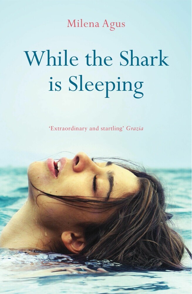 While the Shark Is Sleeping main product photo