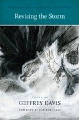 Revising the Storm main product photo