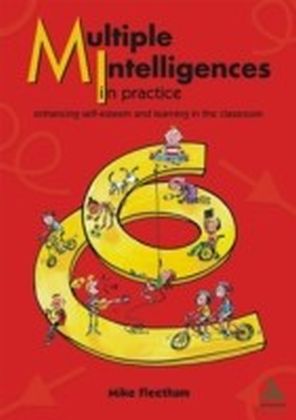 Multiple Intelligences in Practice main product photo