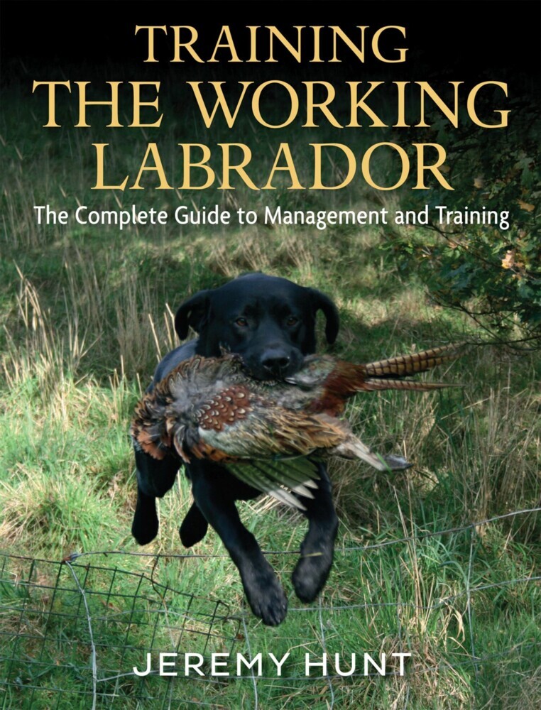 Training The Working Labrador main product photo