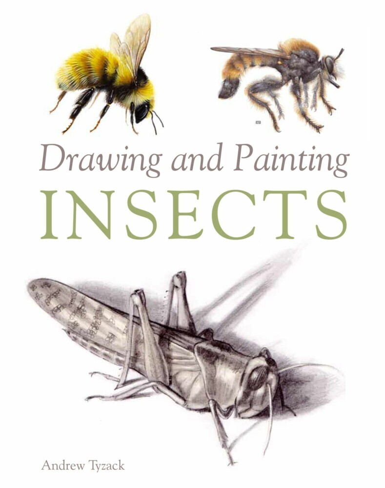 Drawing and Painting Insects main product photo