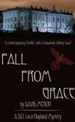 Fall From Grace main product photo