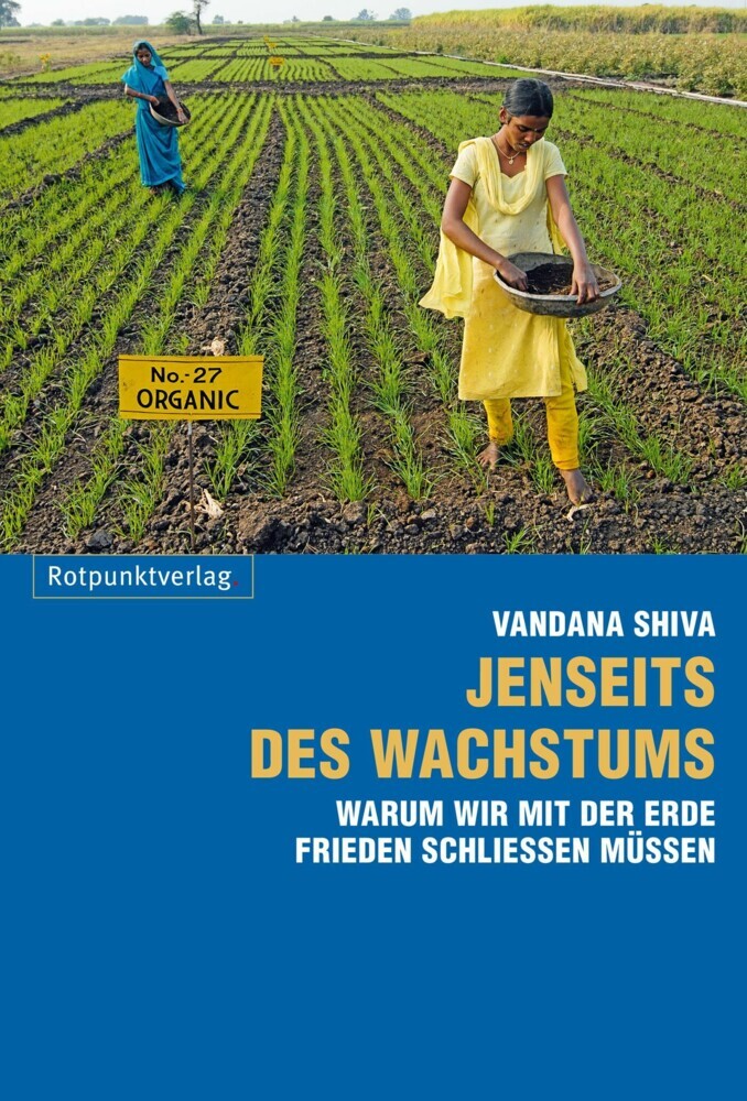 Jenseits des Wachstums main product photo