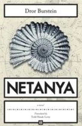 Netanya main product photo
