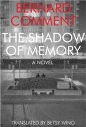 Shadow of Memory