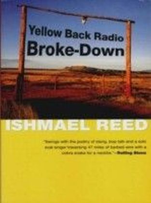 Yellow Back Radio Broke-Down