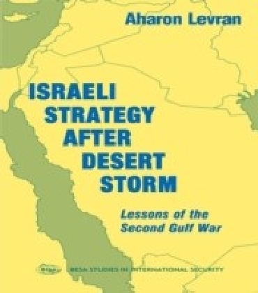 Israeli Strategy After Desert Storm main product photo