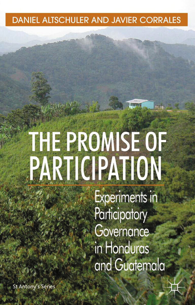 Promise of Participation main product photo
