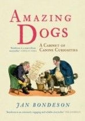 Amazing Dogs main product photo