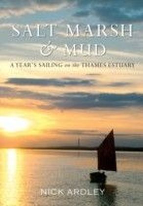Salt Marsh & Mud