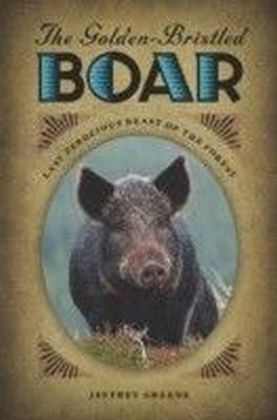 Golden-Bristled Boar