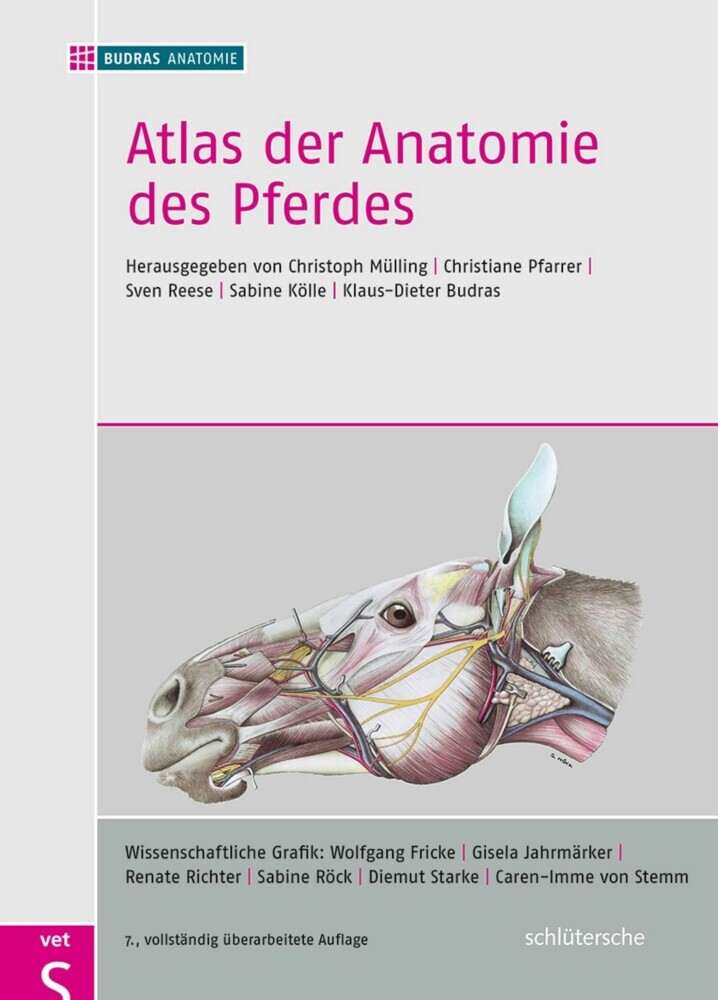 Atlas der Anatomie des Pferdes main product photo