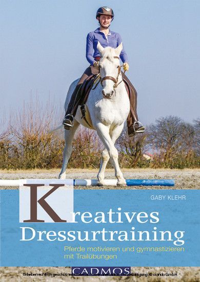 Kreatives Dressurtraining main product photo