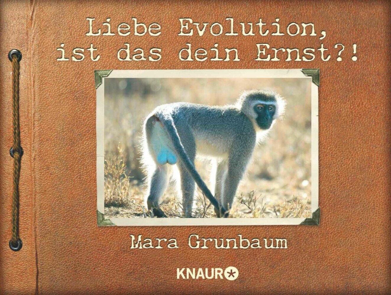 Liebe Evolution, ist das dein Ernst?! main product photo