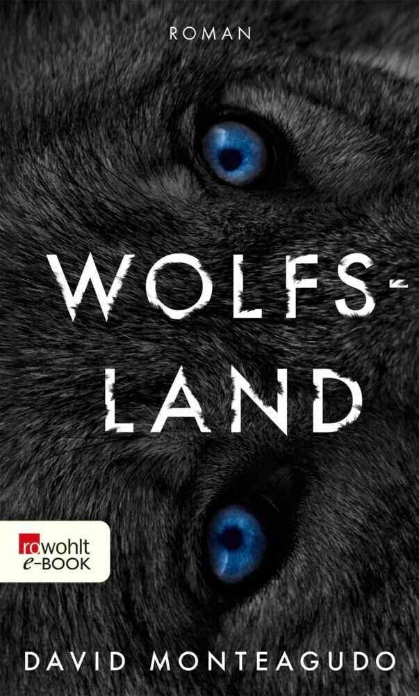 Wolfsland main product photo