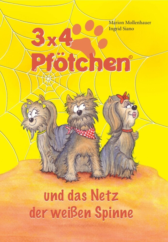 3x4 Pfötchen und das Netz der weißen Spinne main product photo