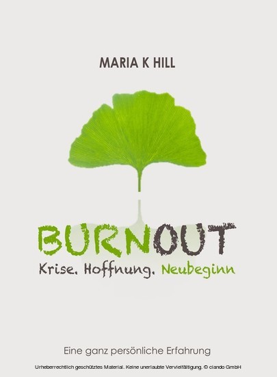 BURNOUT - Krise. Hoffnung. Neubeginn. main product photo