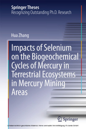 Impacts of Selenium on the Biogeochemical Cycles of Mercury in Terrestrial Ecosystems in Mercury Mining Areas