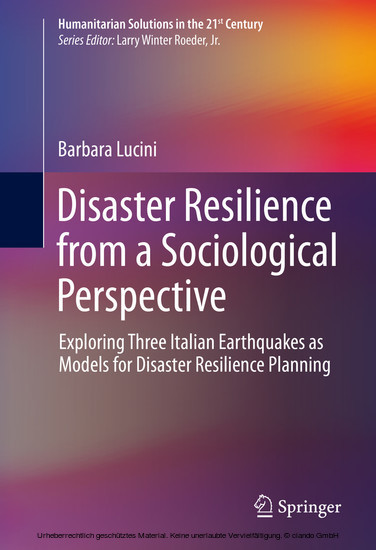 Disaster Resilience from a Sociological Perspective main product photo