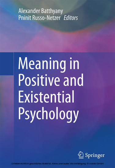 Meaning in Positive and Existential Psychology main product photo