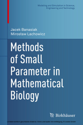 Methods of Small Parameter in Mathematical Biology