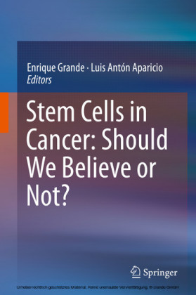 Stem Cells in Cancer: Should We Believe or Not?