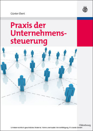 Praxis der Unternehmenssteuerung