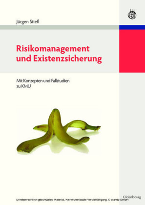 Risikomanagement und Existenzsicherung