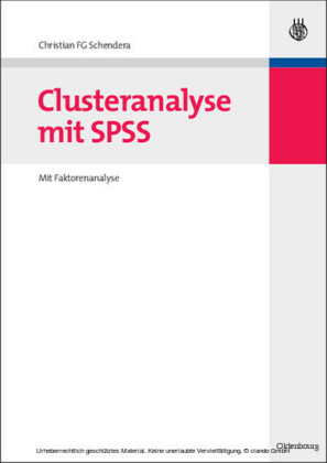 Clusteranalyse mit SPSS