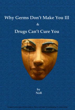 Why Germs Don't Make You Ill and Drugs Can't Cure You