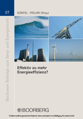 Effektiv zu mehr Energieeffizienz?